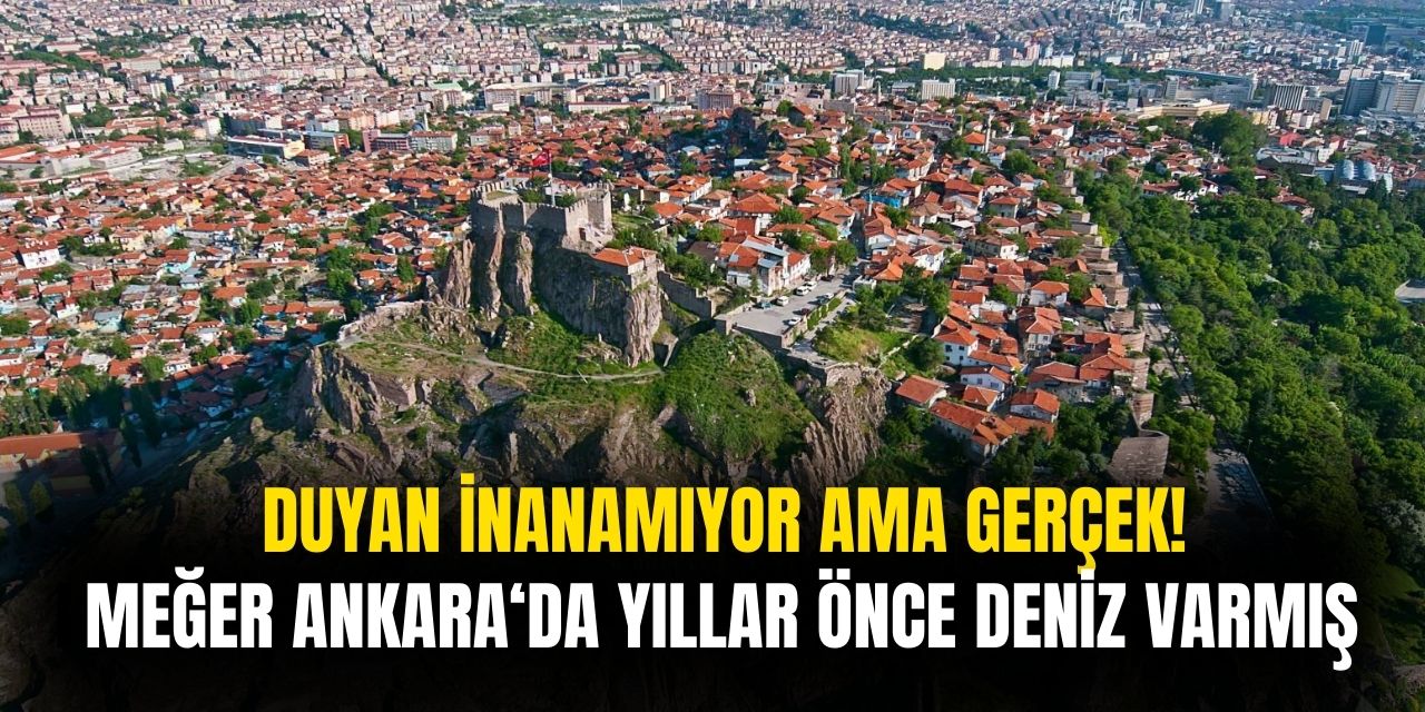 AH ANKARA AH! Meğer yıllar önce Ankara'da deniz varmış uzman isimler açıkladı işte Ankara'da deniz olduğunun kanıtı