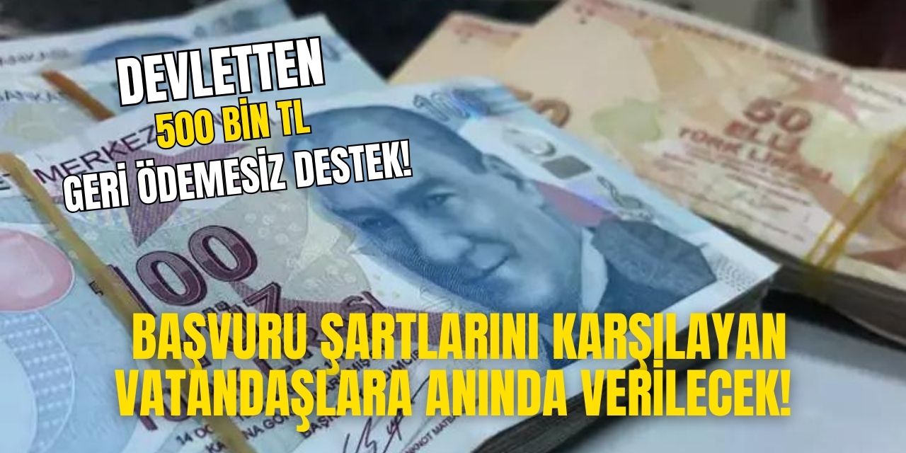 Bu şartı karşılayanlara Devlet geri ödemesiz 500 bin TL verecek! Başvuracaklar sakın kaçırmayın