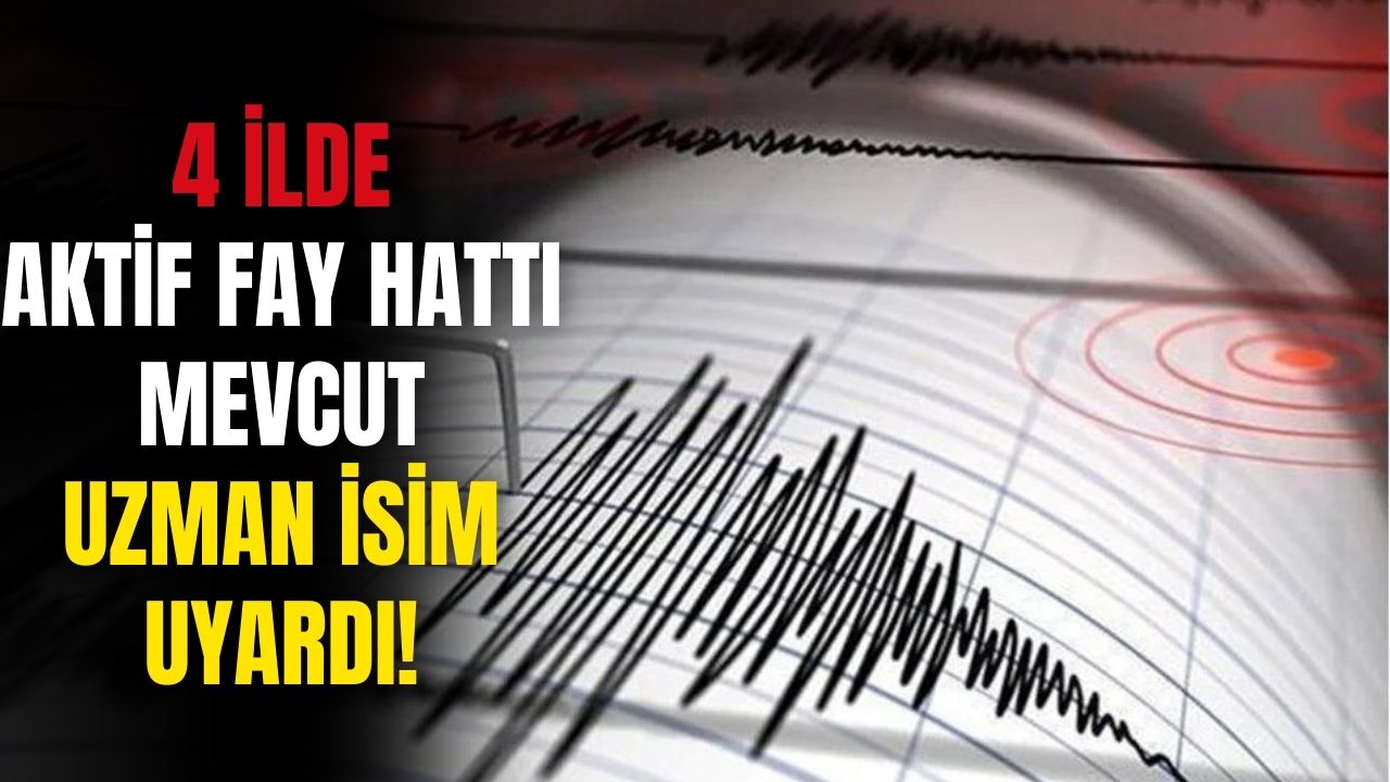 Japon Deprem Uzmanından Bu İllere Kritik Uyarı! Fay Hattı geçiyor 4 İl Büyük Riskte