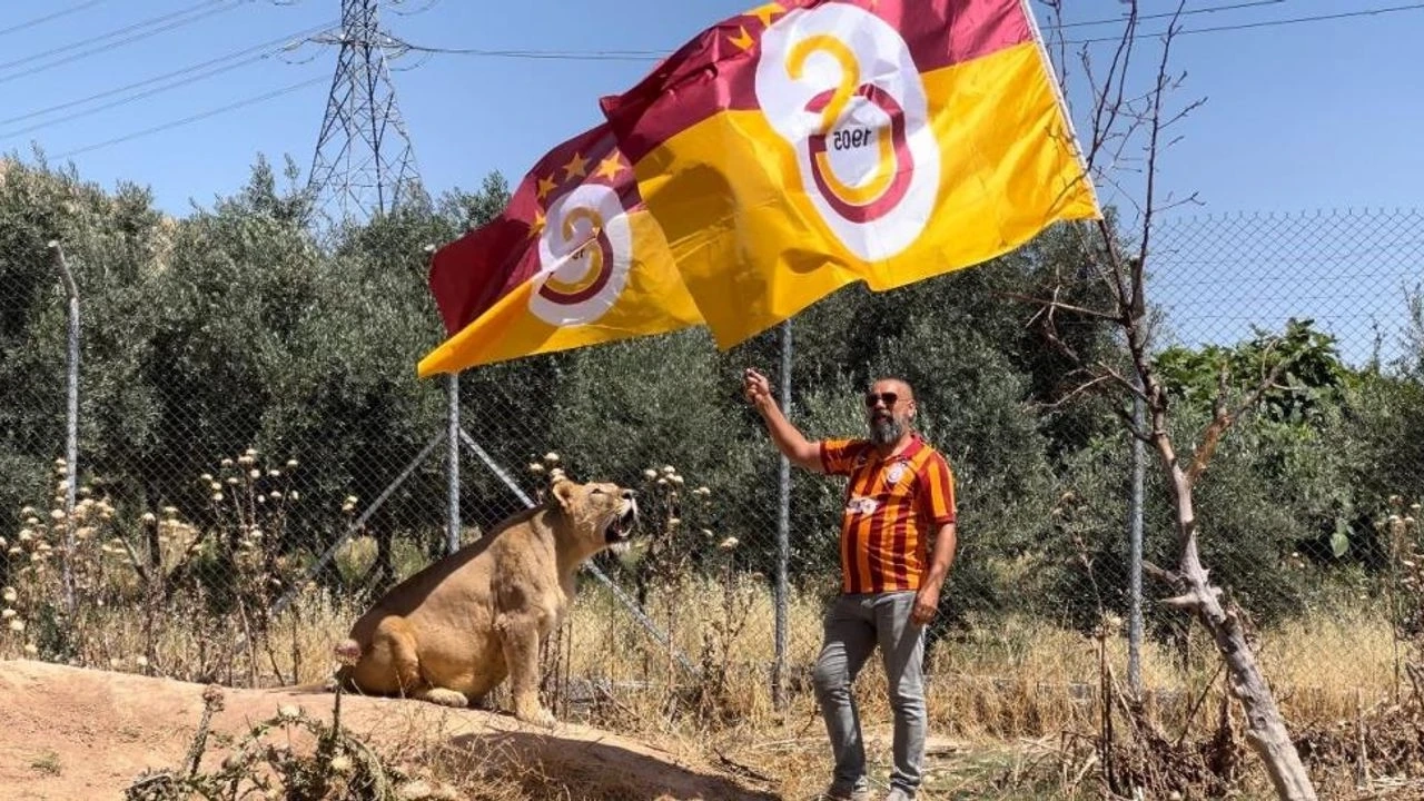 Diyarbakırlı Aslan Terbiyecisi, Galatasaray’ın 24. Şampiyonluğunu Aslanlarıyla Birlikte Kutladı