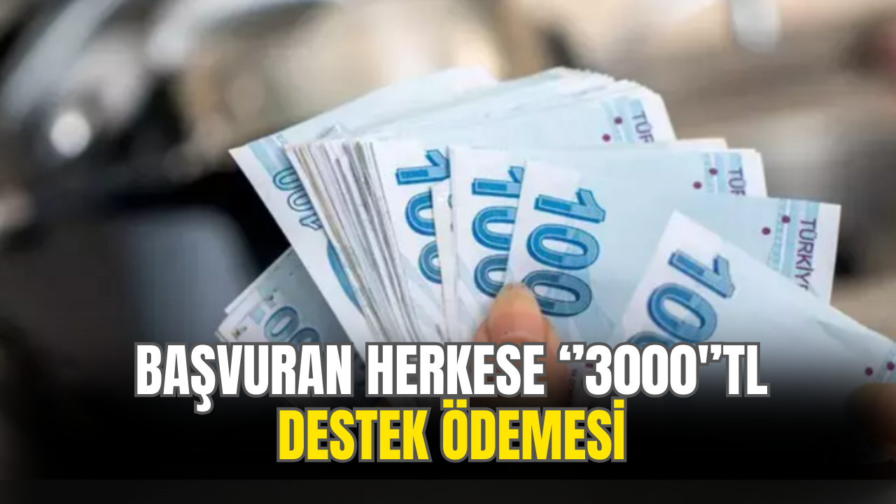 Başvuran Herkese ''3000'' TL Destek Ödemesi Yapılacak