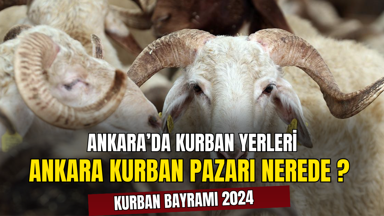 Ankara'da Kurban Satış Ve Kesim Yerleri 2024 Kurban Pazarları Nerede ?