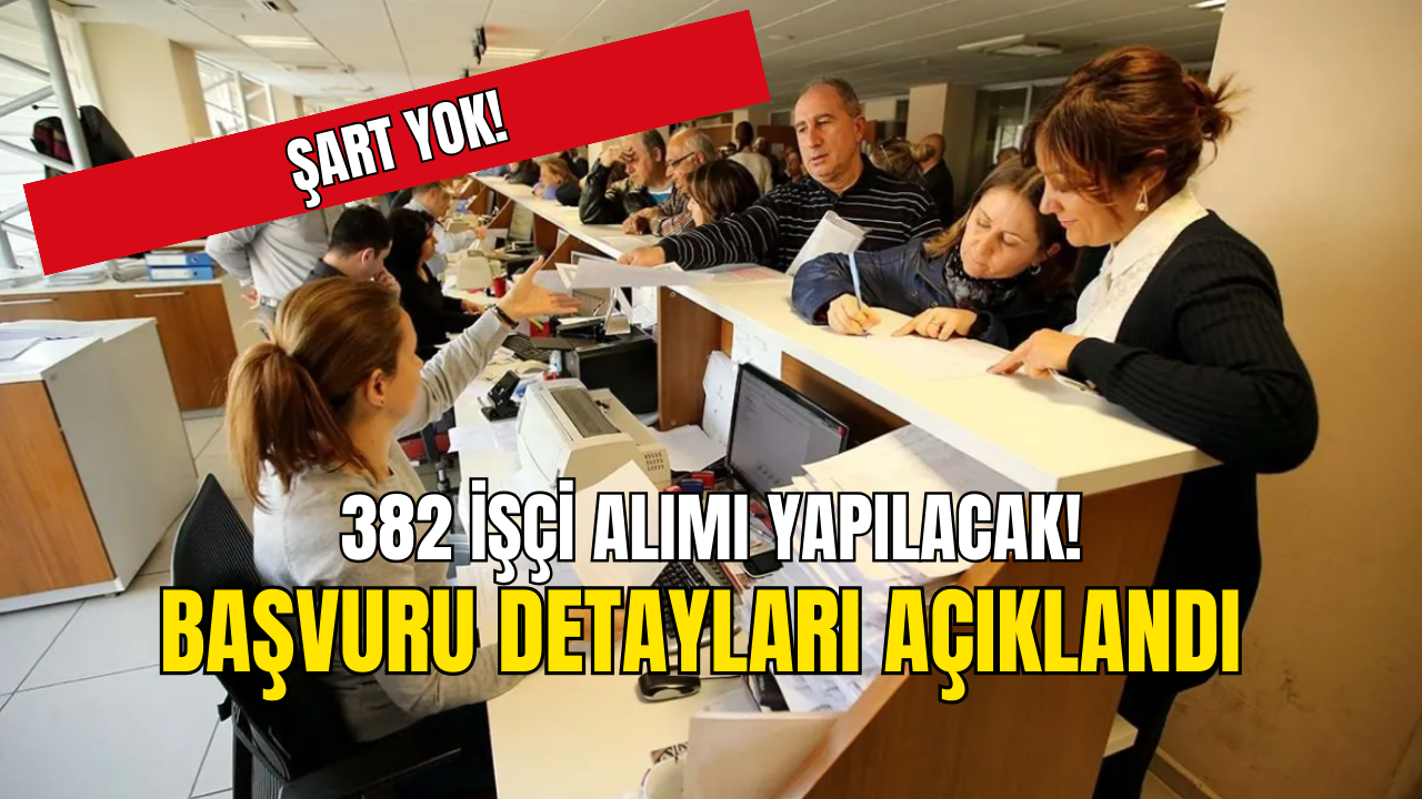 382 İşçi Alımı İçin Başvurular Açıldı! Başvuru Şartı YOK