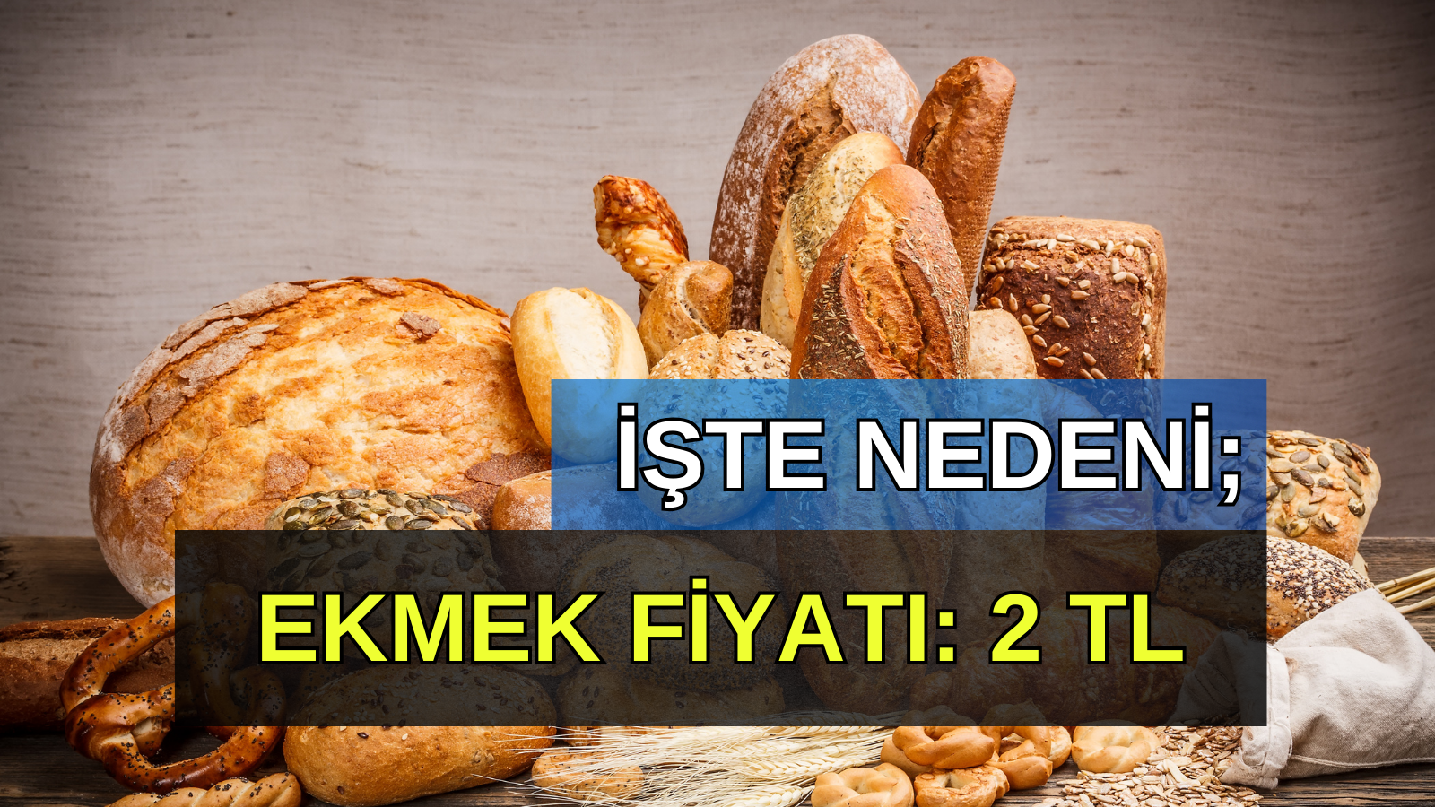 Ekmek Savaşları Başladı, Fiyat 2 TL'ye Düştü