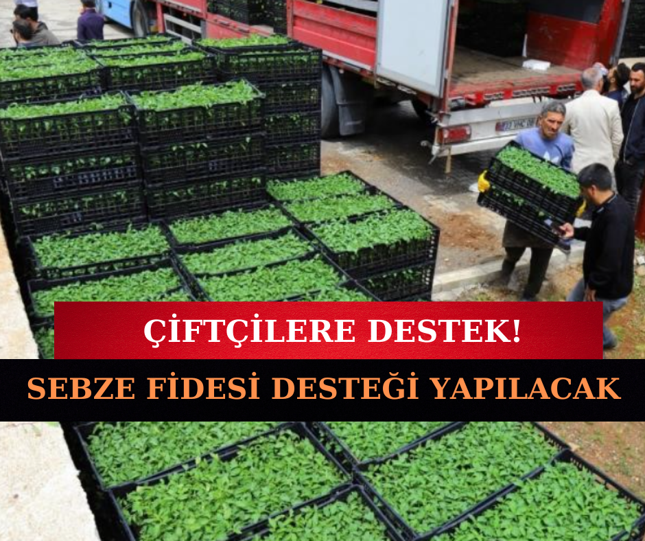 Çiftçilere Sebze Fidesi Desteği: 395 Bin Fidenin %75'i Hibe!