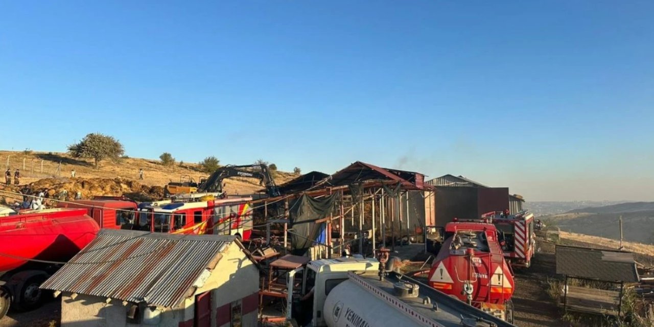 Ankara'nın Yenimahalle ilçesinde ahır yangını: 26 büyükbaş hayvan telef oldu