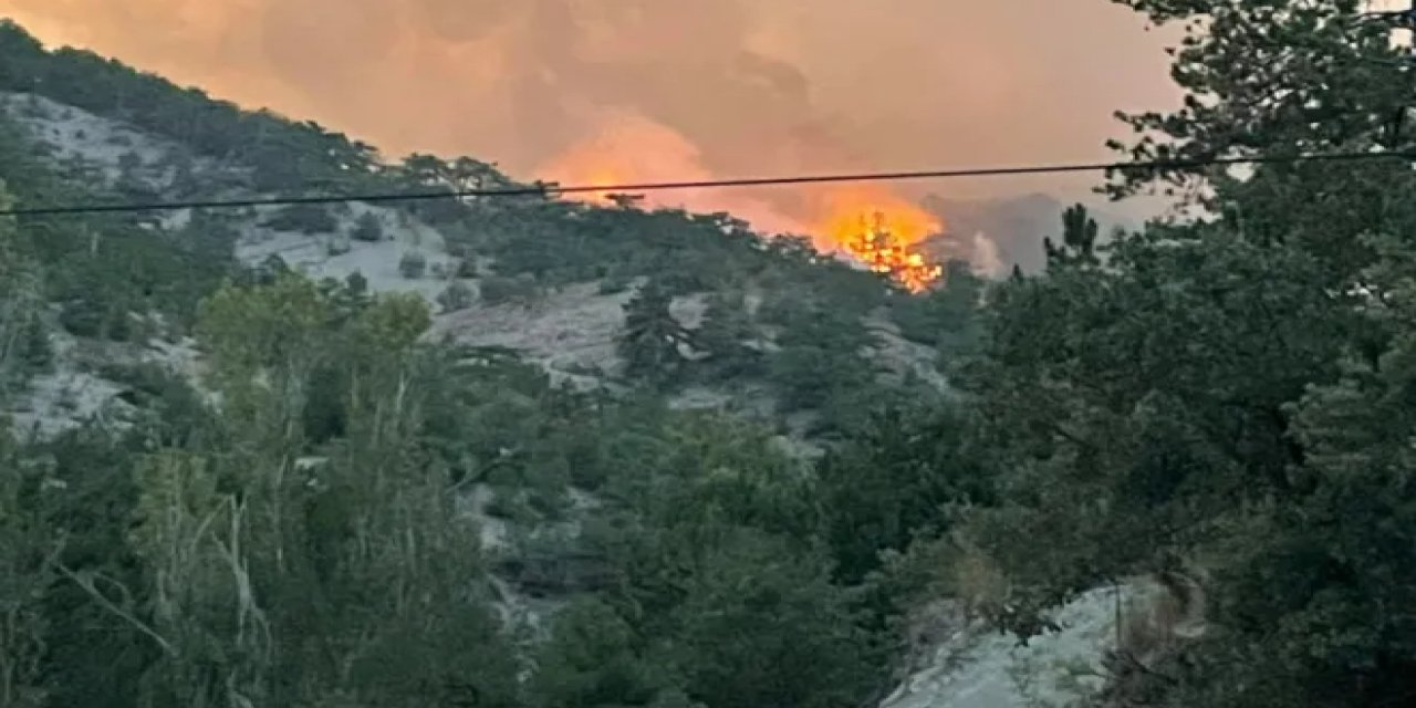 ABB ve Nallıhan Belediyesi’nden Bolu’daki yangına destek!