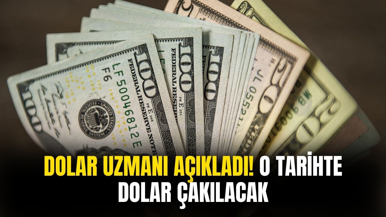 Ünlü ekonomist açıkladı! Dolar kuru bir anda çakılacak