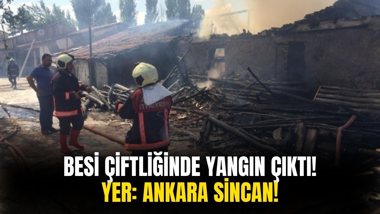 Ankara Sincan'da Besi Çiftliğinde Yangın Meydana Geldi!