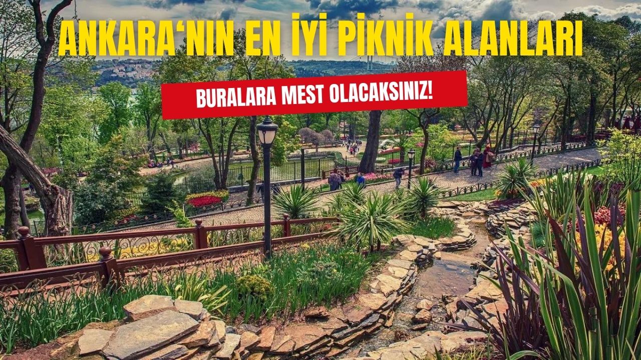 Ankara'da doğayla iç içe en güzel piknik alanları