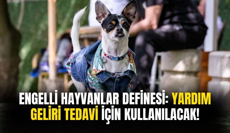 Ankara'da Engelli Hayvanlar İçin Defile Düzenlendi!