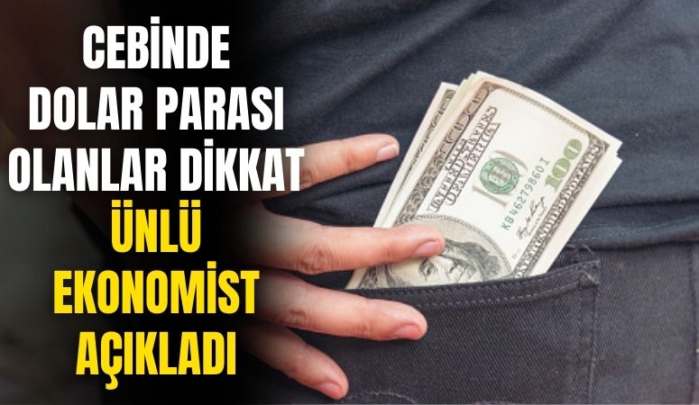 Ünlü ekonomist açıkladı: cebinde dolar parası olanlar o tarihi bekleyin