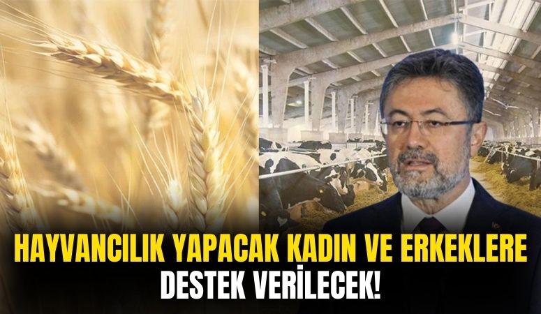 Hayvancılık Yapacak Kadın ve Gençlere Destek Verilecek!