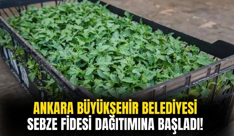 Ankara Büyükşehir Belediyesi Sebze Fidesi Dağıtımlarına Başladı!